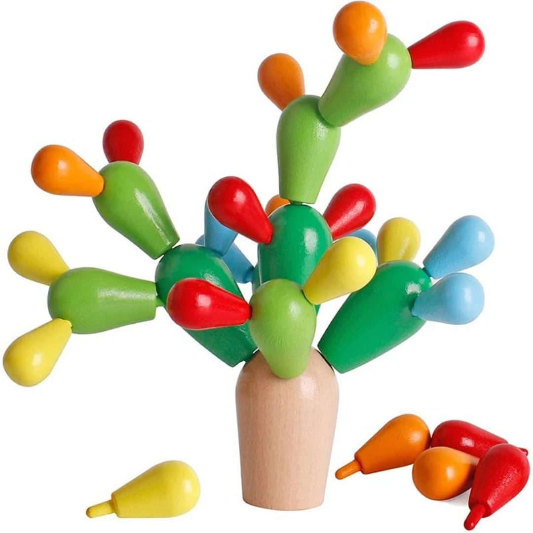 Cactus de Equilibrio