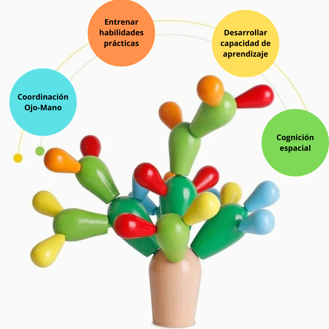 Cactus de Equilibrio