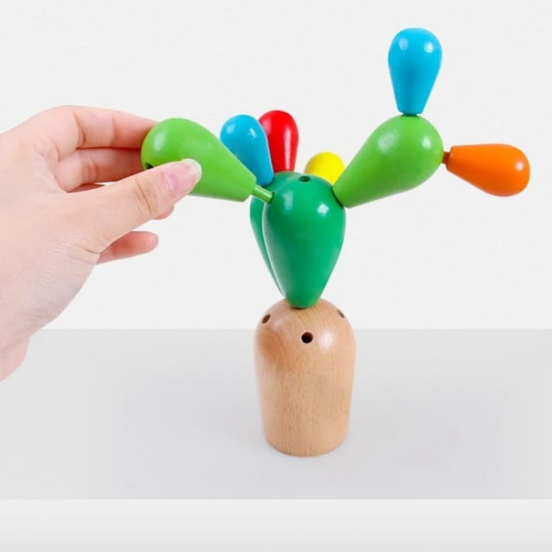 Cactus de Equilibrio